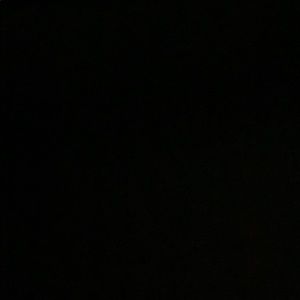 Meet your Posher, Zora